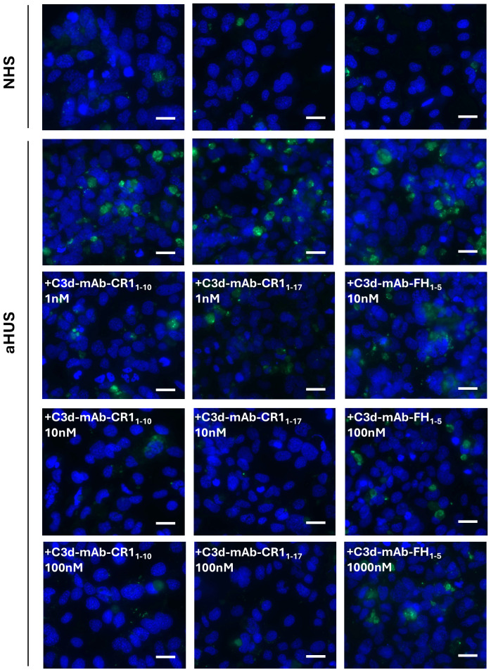 Figure 3