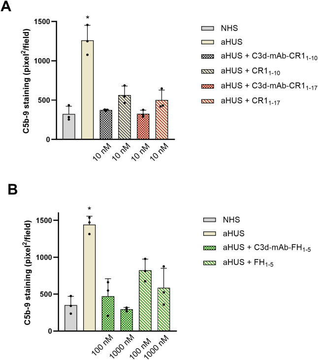 Figure 5