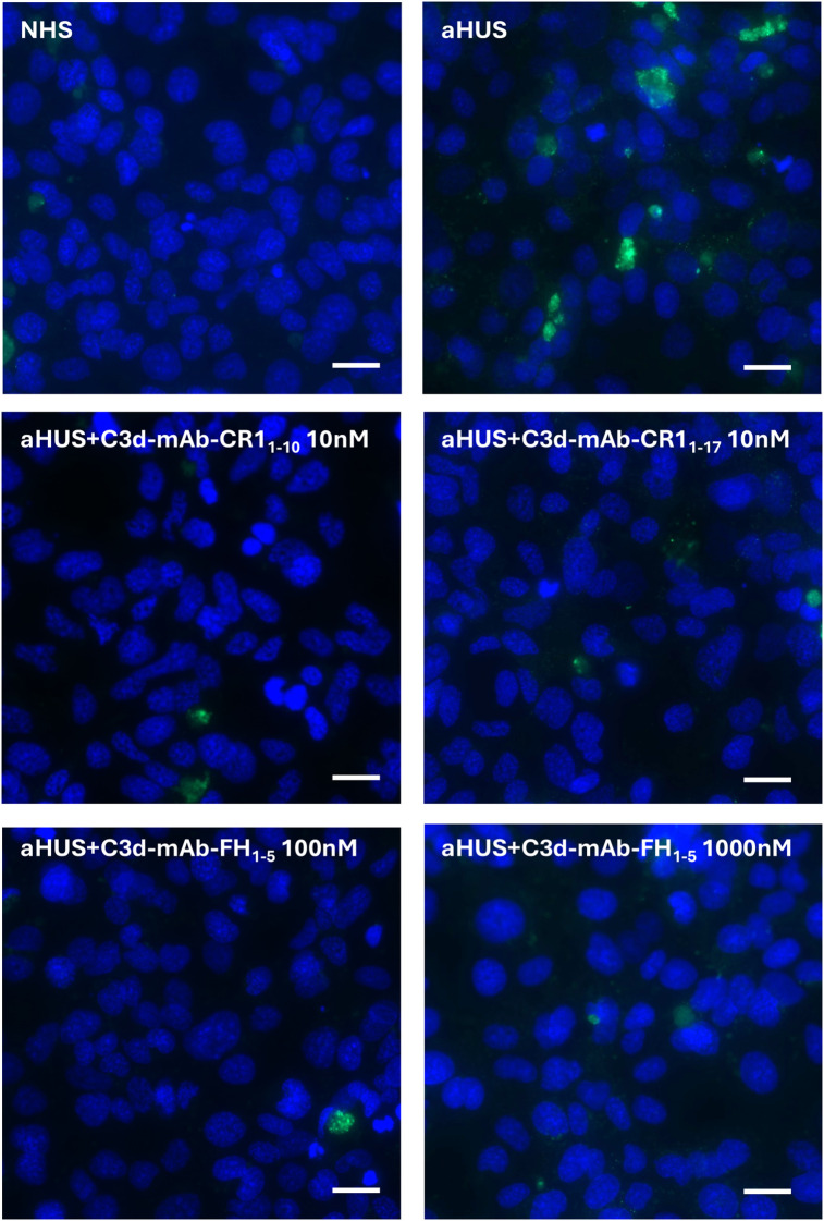 Figure 6