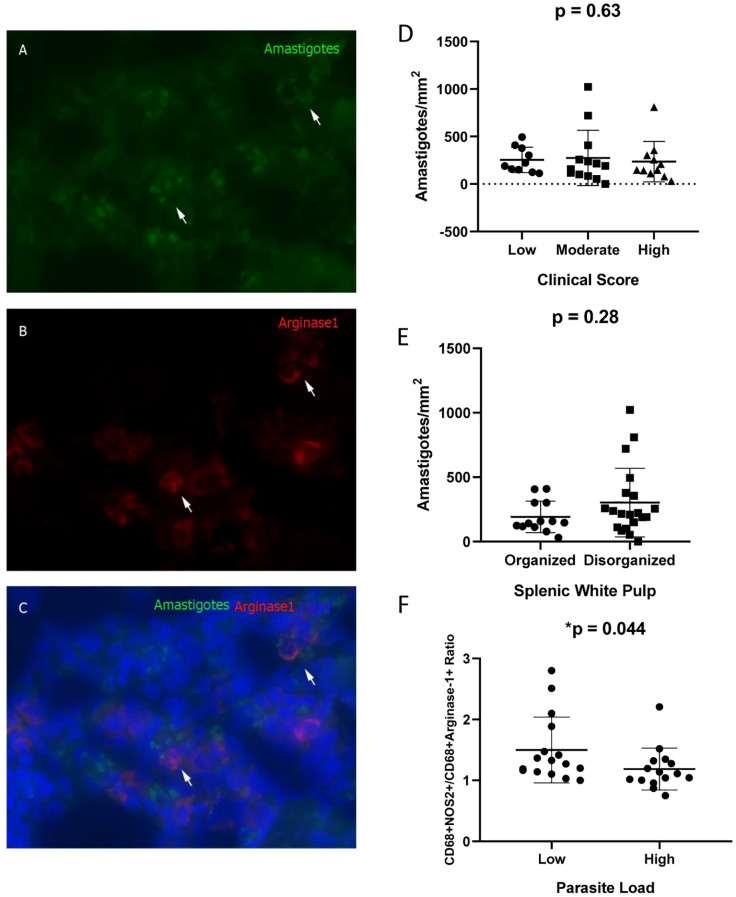 Figure 4