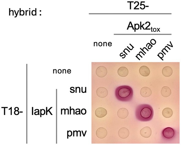 Fig. 4