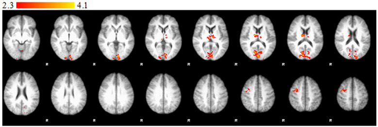 Figure 1