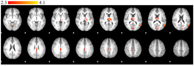 Figure 2