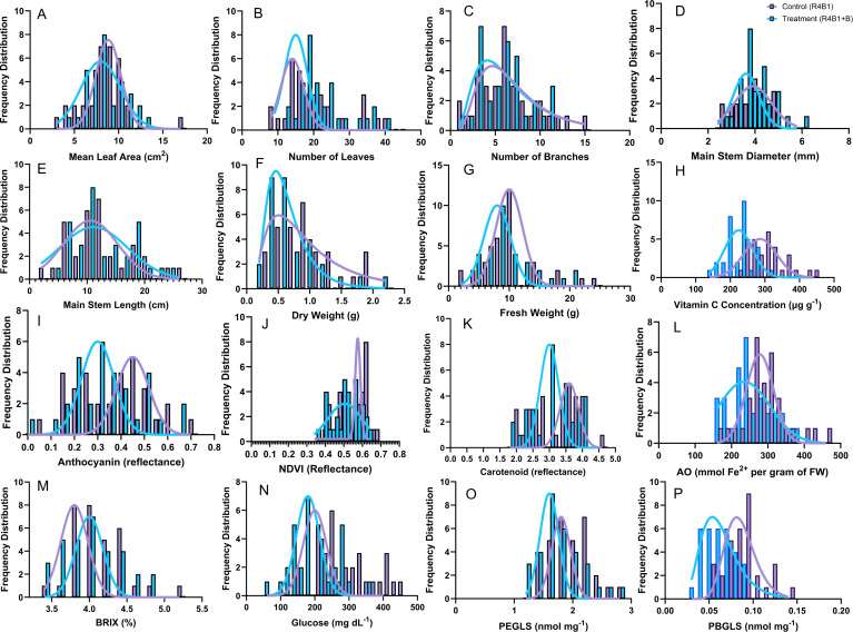 Figure 2