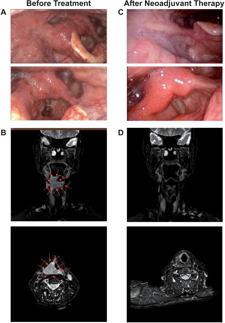 Figure 5