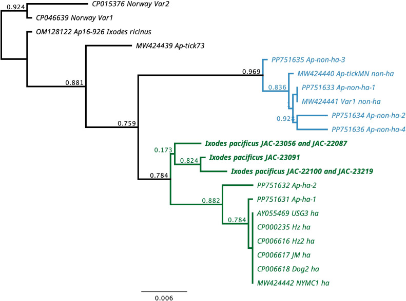 Figure 2