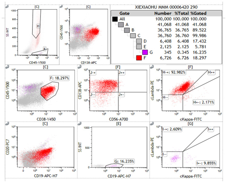 Figure 2