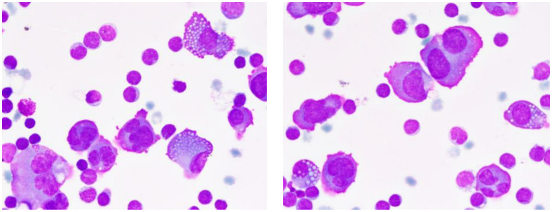 Figure 4