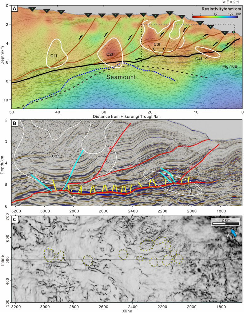 Fig. 10
