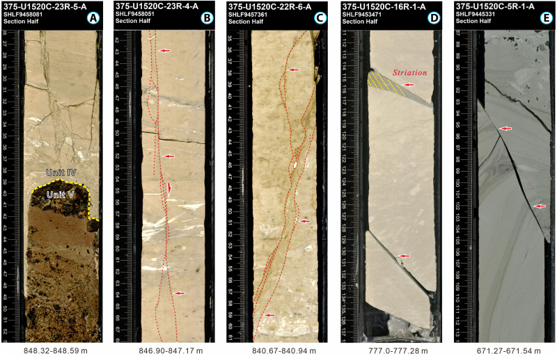 Fig. 3