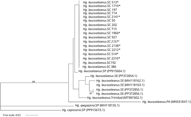 Figure 5