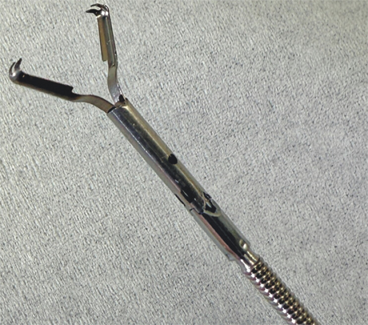 Fig. 1