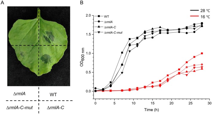 FIGURE 6