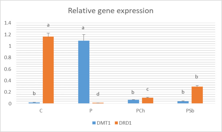 Figure 5