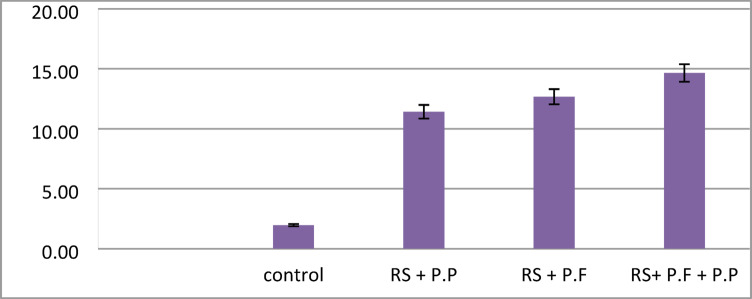 Figure 12
