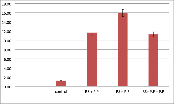 Figure 13