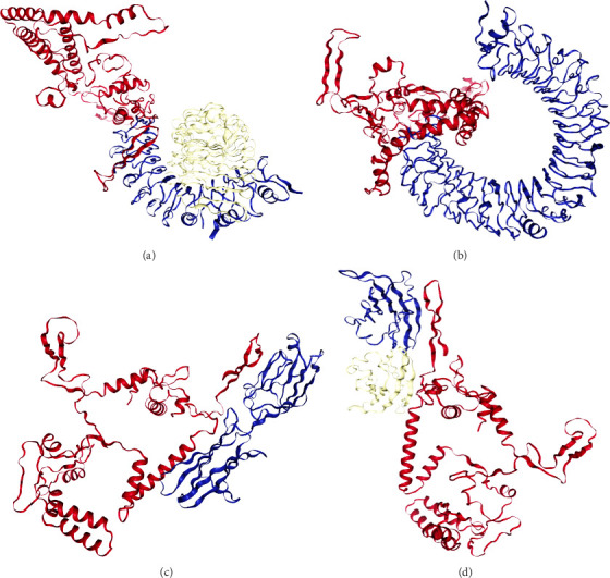 Figure 5