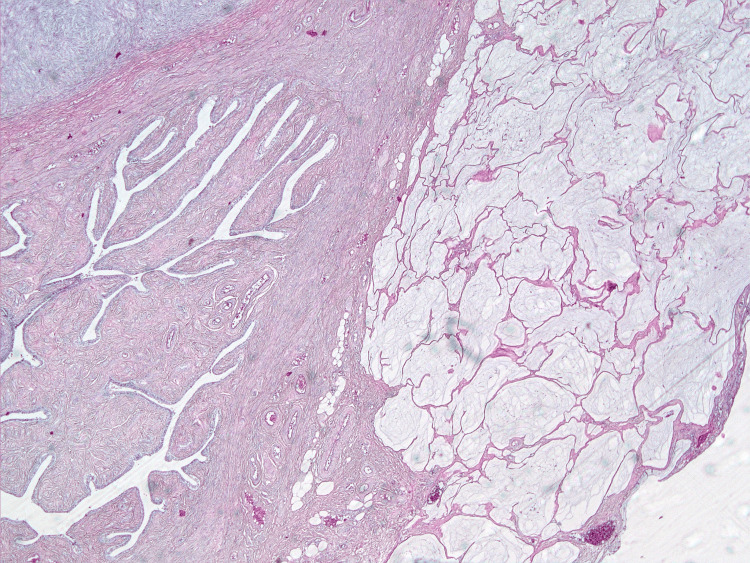 Figure 10