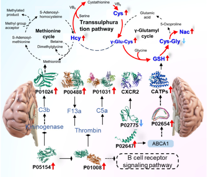 Figure 10
