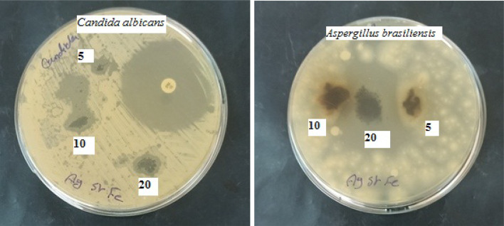 Figure 15