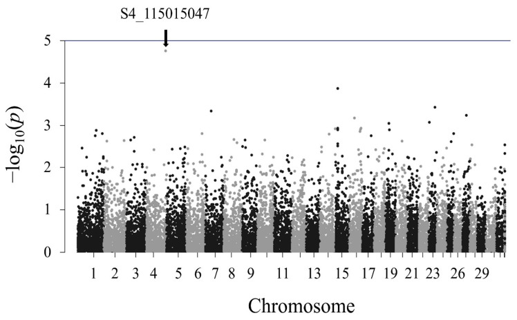 Figure 10