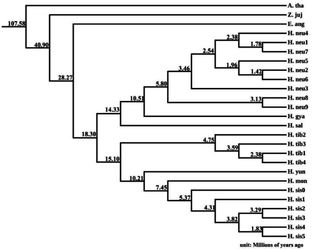 Figure 9