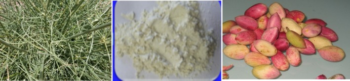 Figure 5