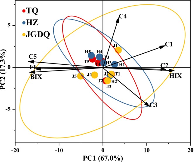 Figure 10