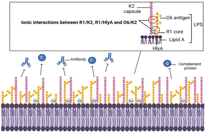 Figure 6