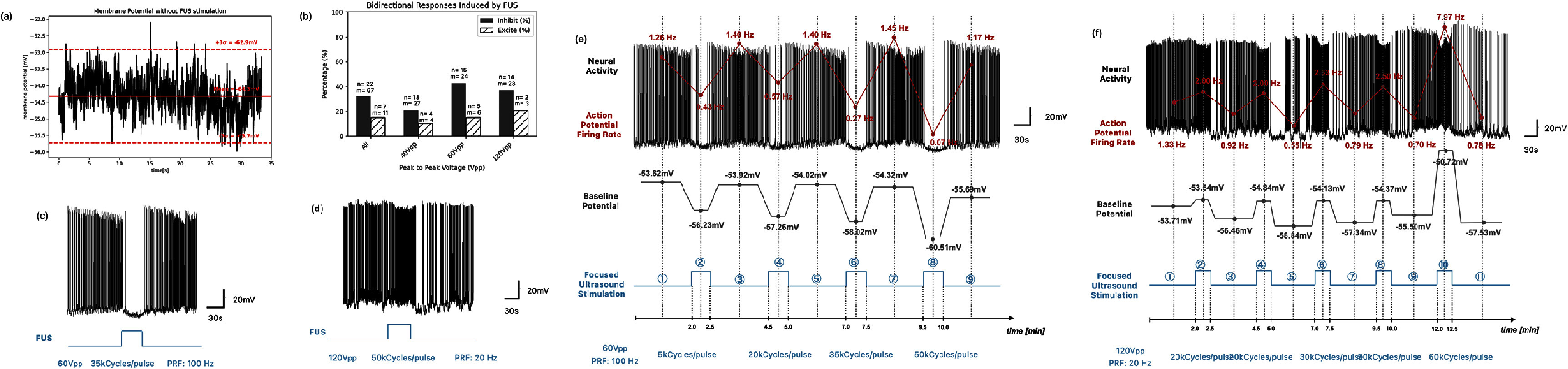 Figure 20