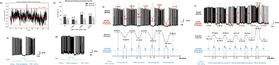 Figure 22
