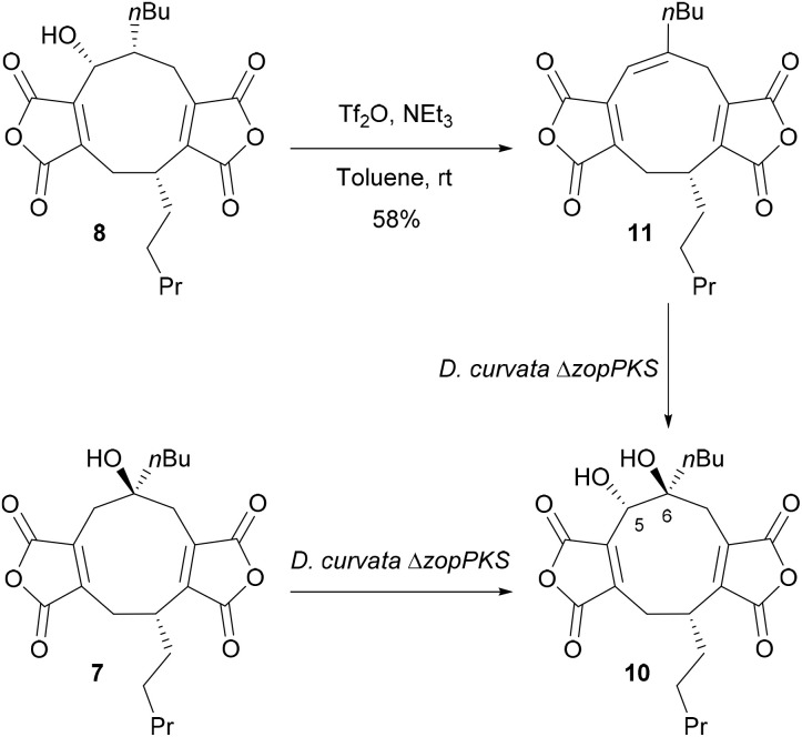 Figure 9