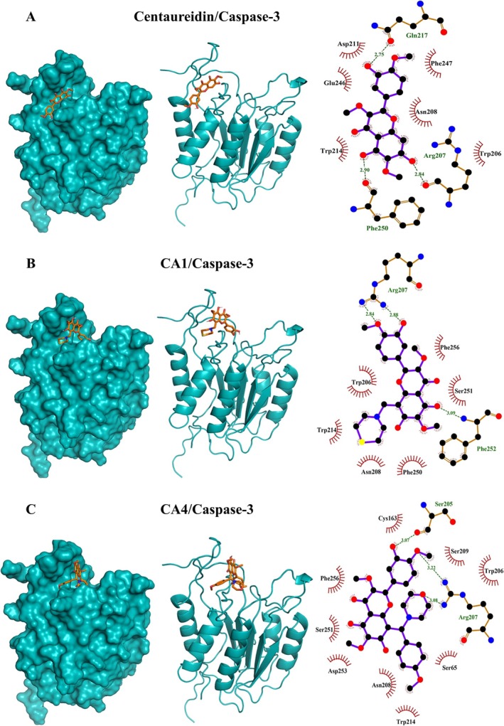 Figure 10