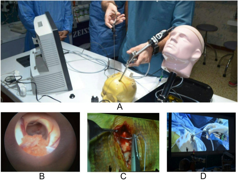 Figure 5