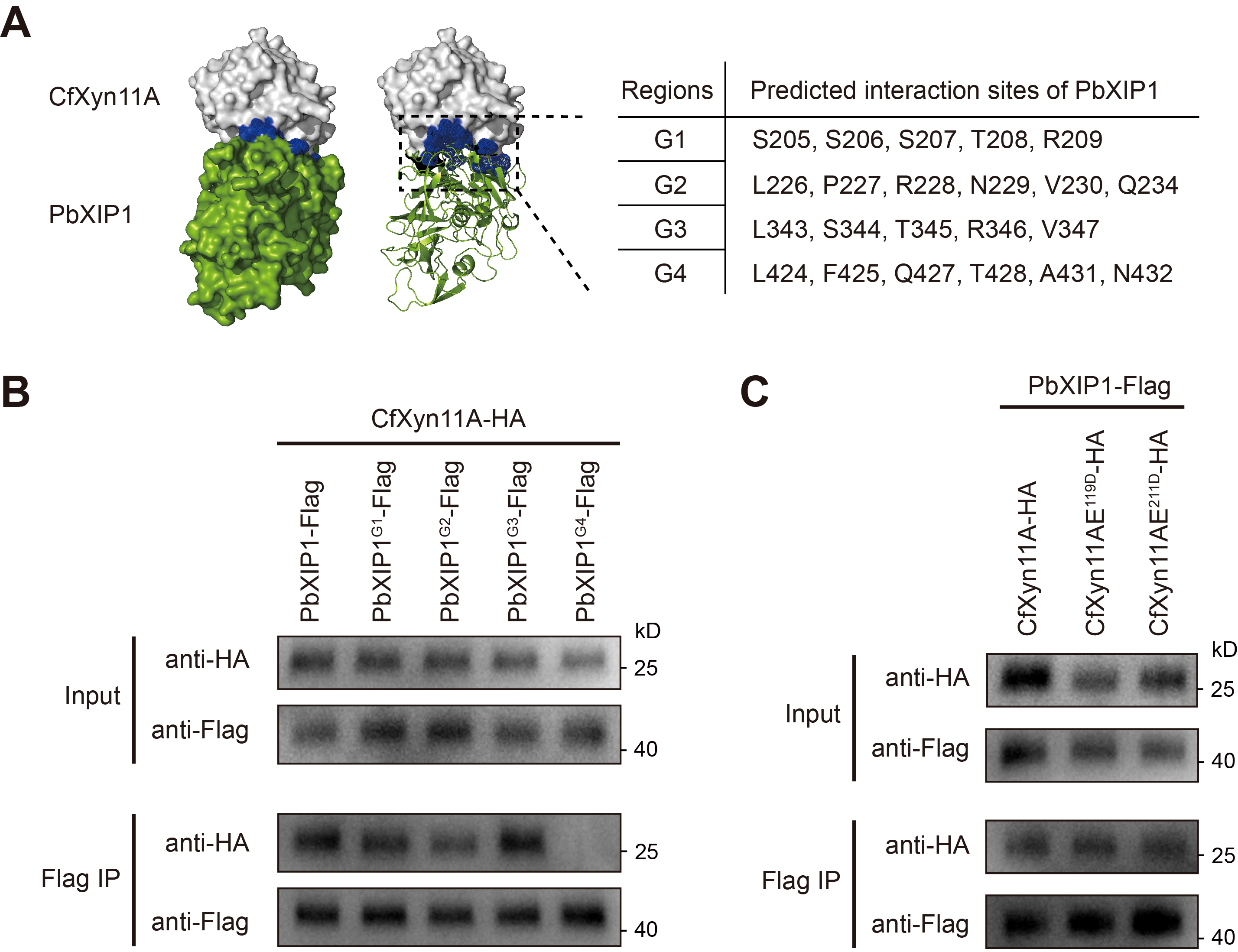 Figure 11