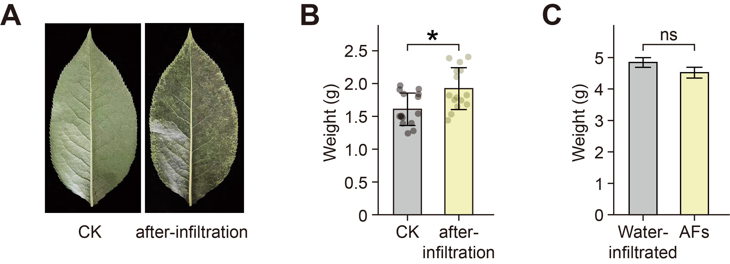Figure 12