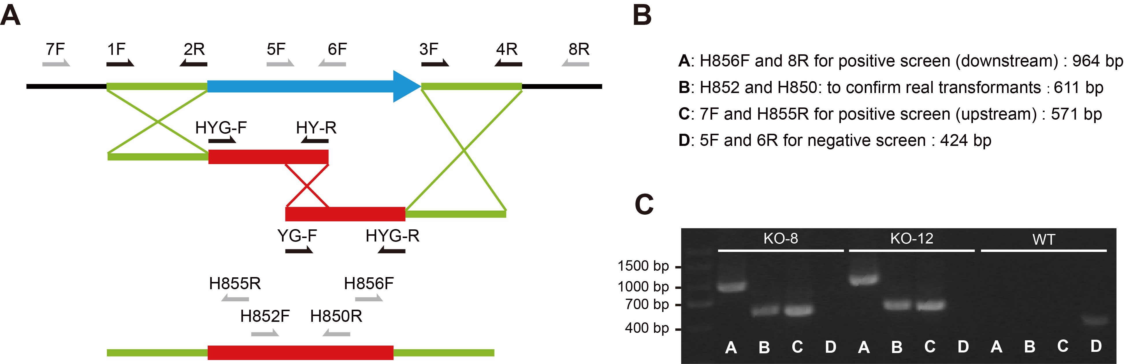 Figure 15