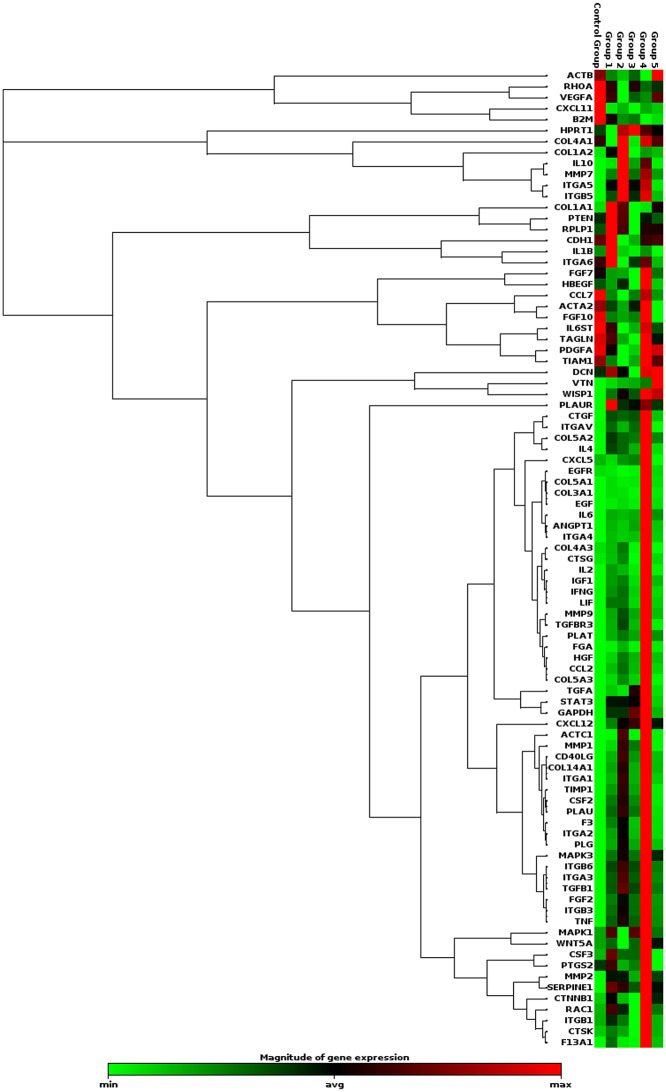 Figure 6