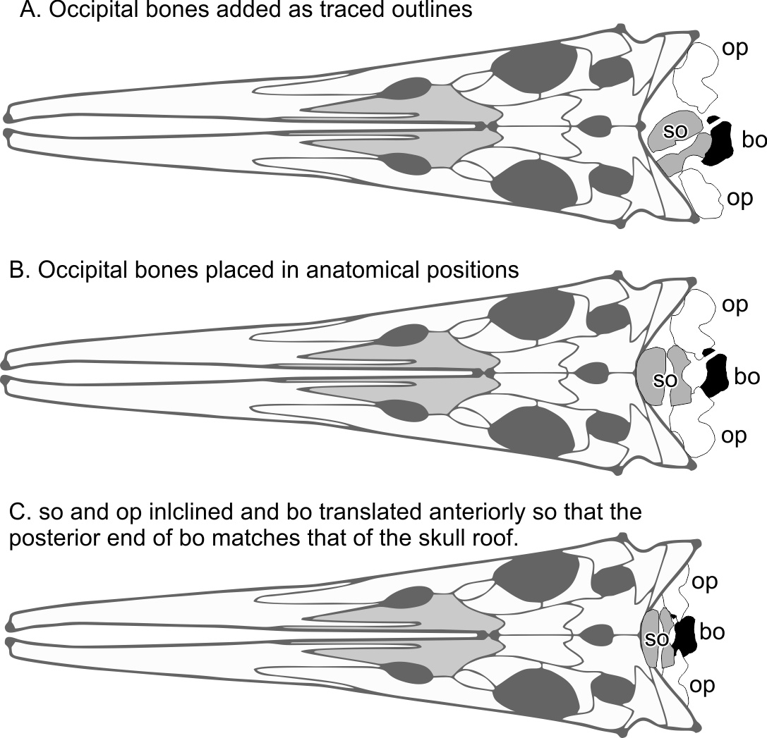 Figure 12