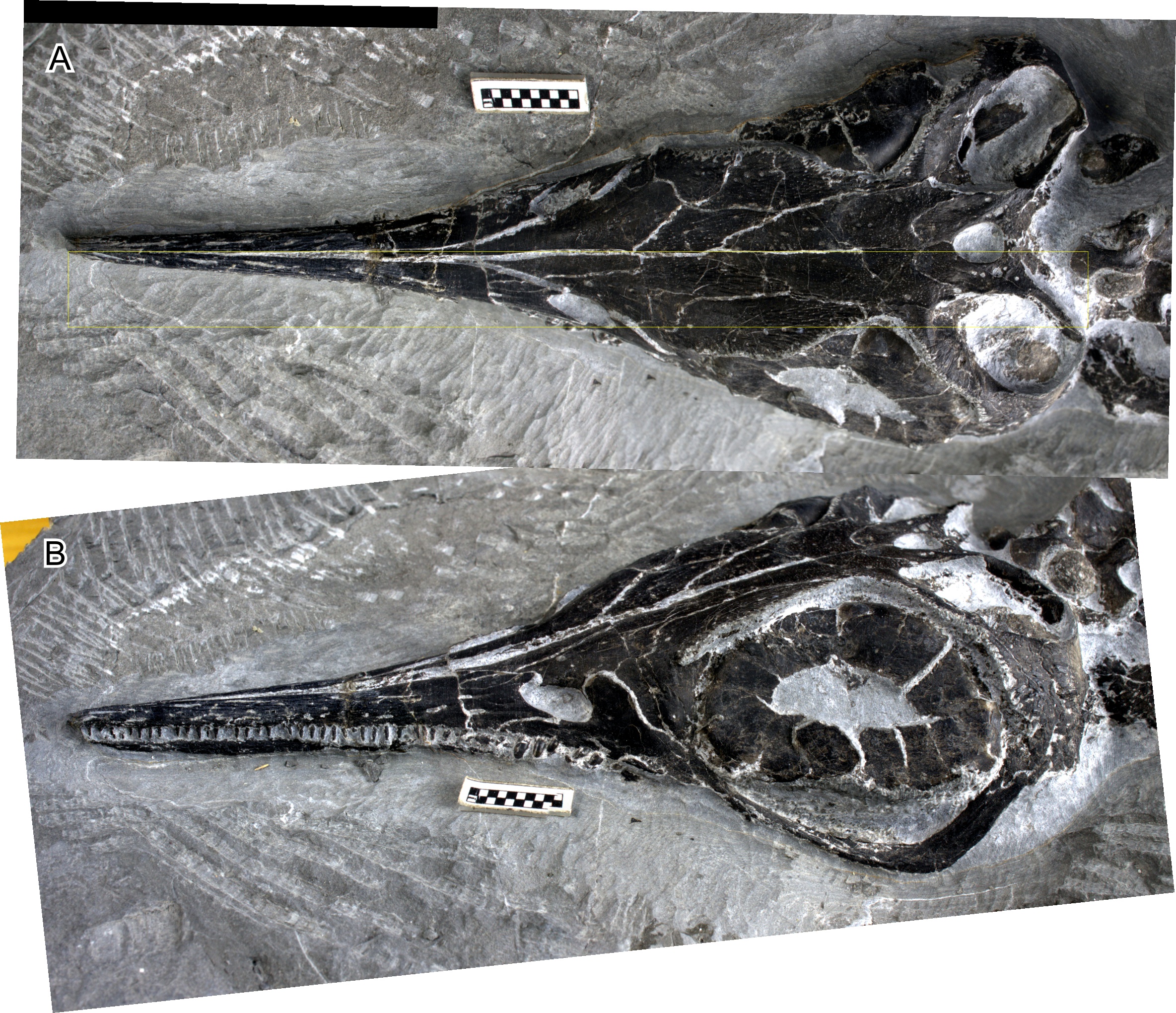 Figure 13