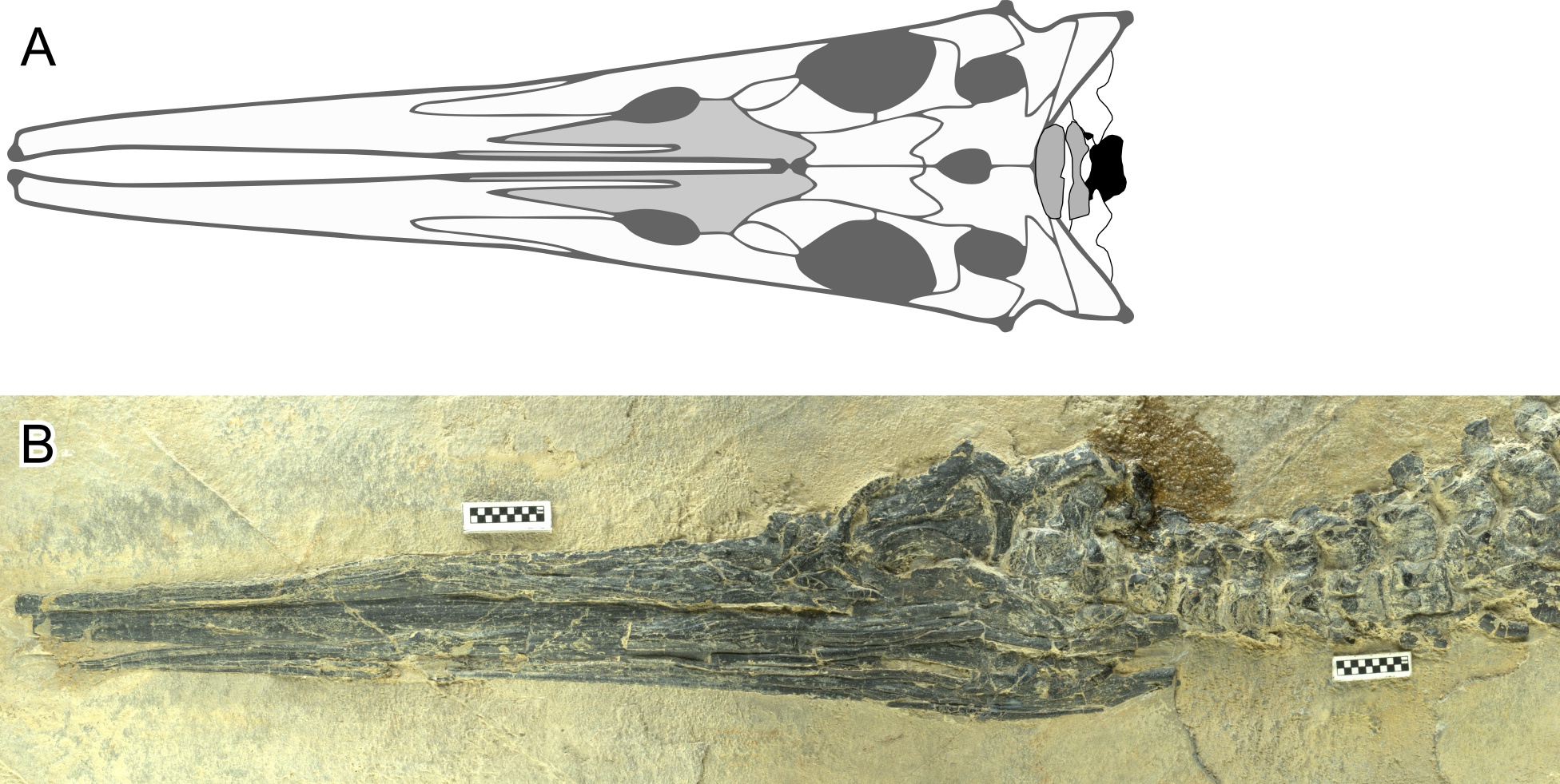 Figure 14