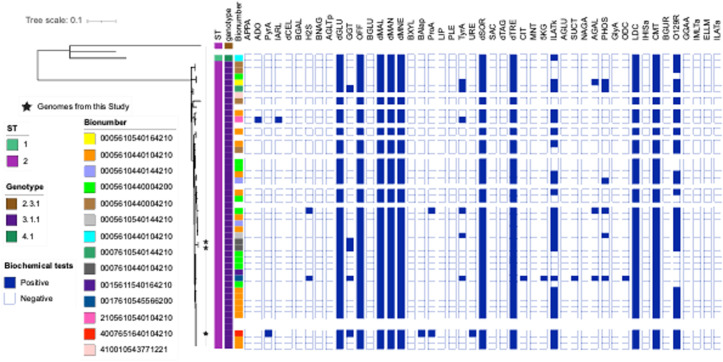 Figure 2