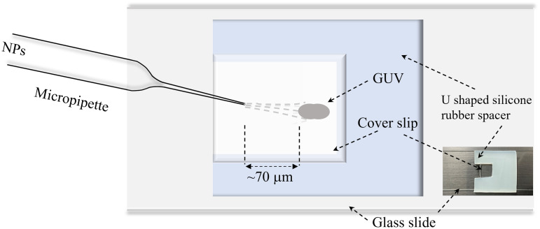 Fig 1