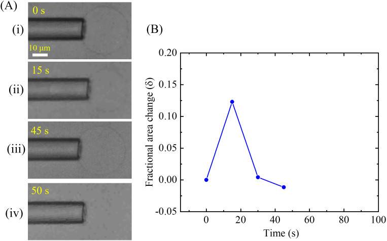 Fig 11