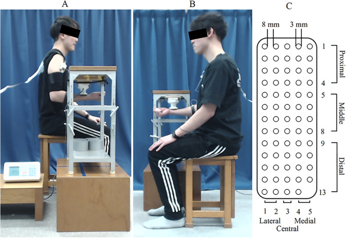 Fig 1