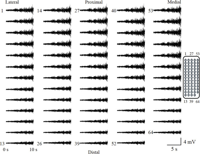 Fig 5
