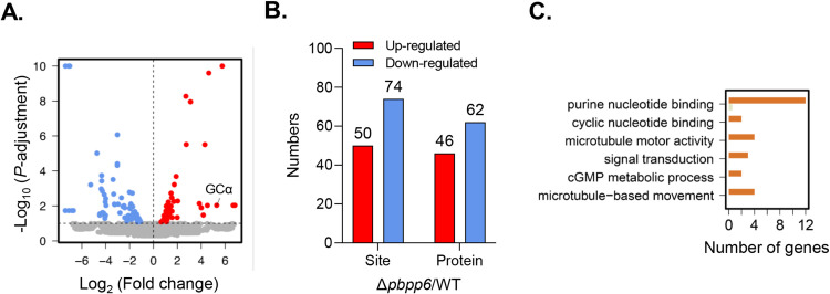 Fig 5