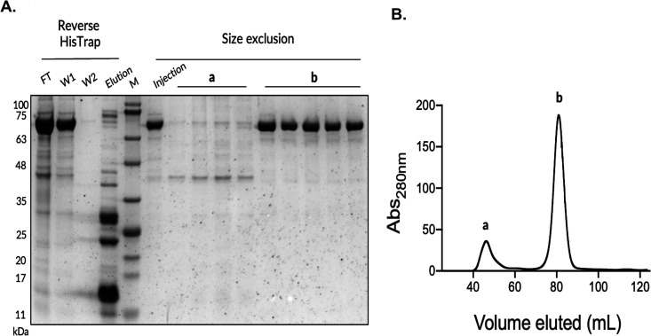 Fig 5