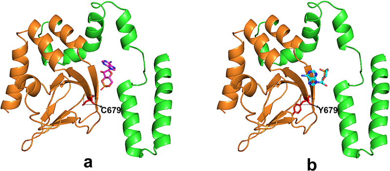 Figure 9