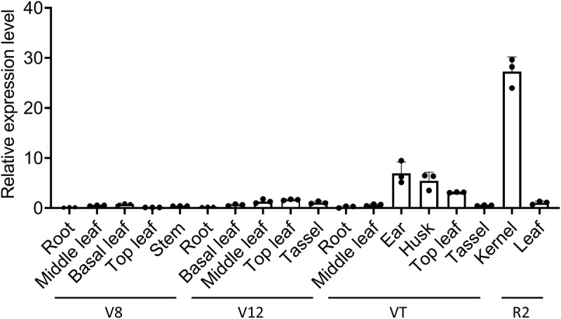 Figure 9
